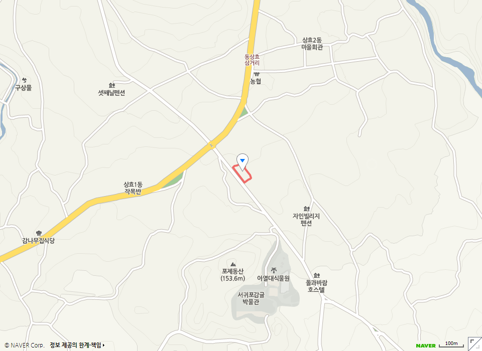 남극 노인성 지도